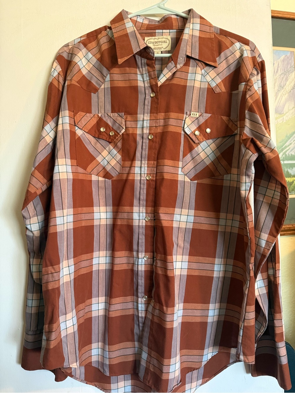 Ely Cattleman Cowboygirl by Jenna Paulette Rust Plaid Long Sleeve Pearl Snap